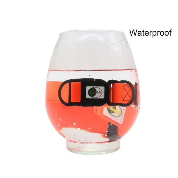 Red PVC dog collar displayed on a clean white background