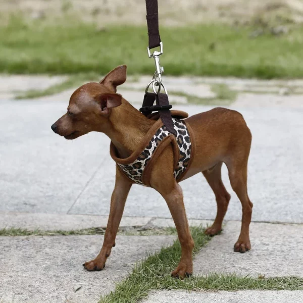 Side profile of the leopard dog harness, showing the vest design and adjustable straps.