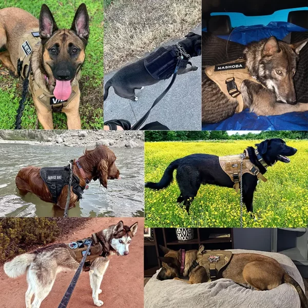 Tactical dog harness in camouflage pattern, showing overall fit