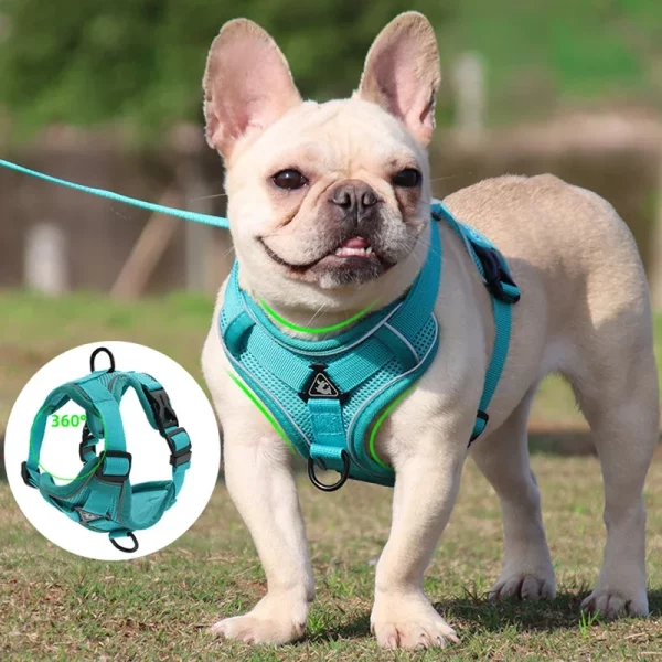 No pull dog harness and leash set, close-up of padded mesh material, comfortable fit