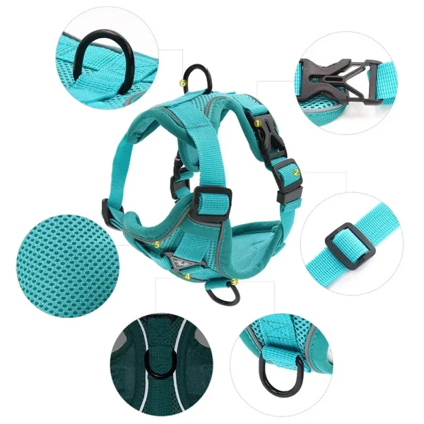 No pull dog harness and leash set, side view showing front and back leash clips