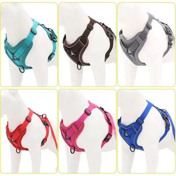 No pull dog harness and leash set, reflective stitching glowing at night, enhanced safety