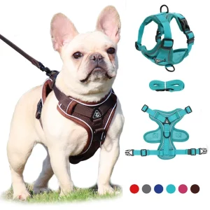 No pull dog harness and leash set, front view on small dog, adjustable chest strap