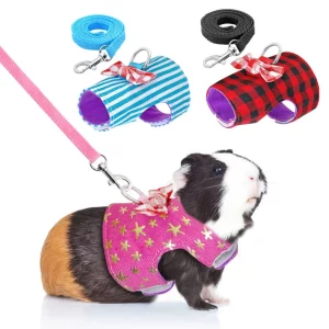 Hamster wearing a blue denim small pet harness with a pink bowknot