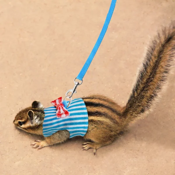 Close-up of the small pet harness showing stitching and bowknot detail
