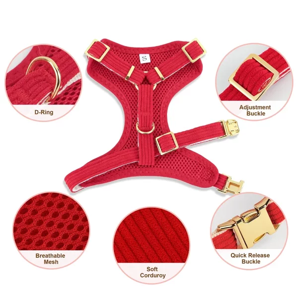 Complete dog collar, harness, and leash set laid out flat, showcasing all components