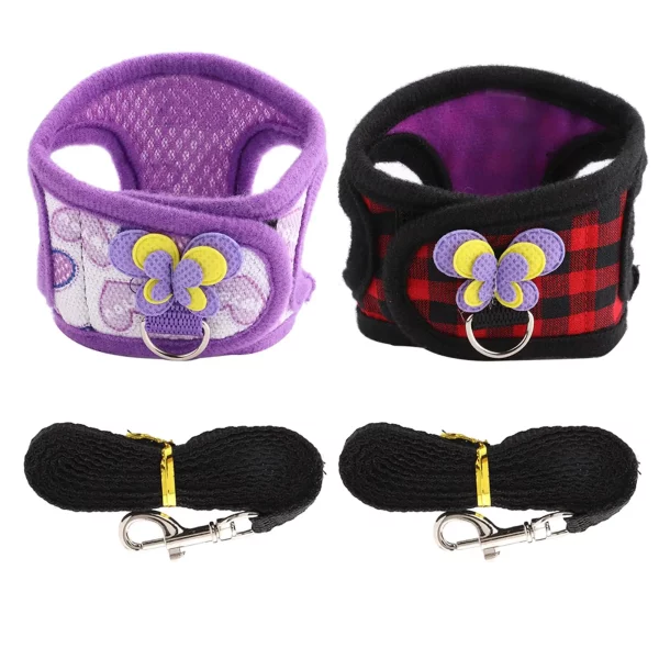 Chinchilla or hamster comfortably fitted in the harness
