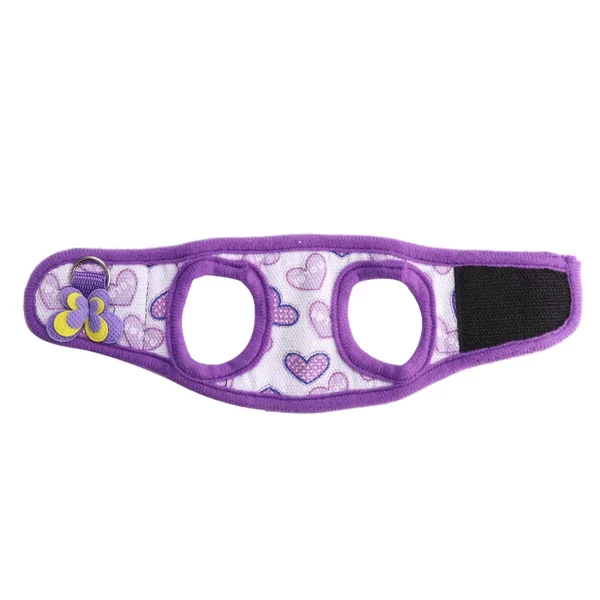 Detail of the secure clasp connecting the leash to the harness