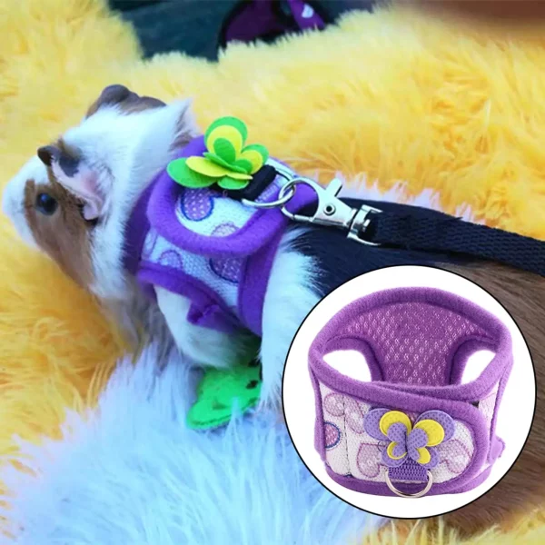Small pet wearing the harness and leash outdoors