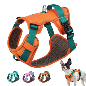 Blue mesh breathable dog harness front view