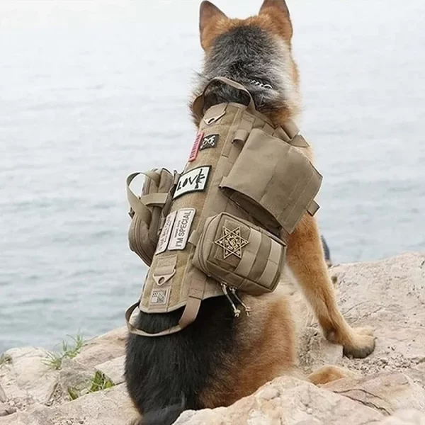 Dog wearing camouflage tactical harness from the front
