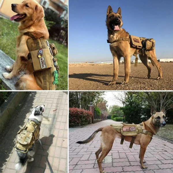 Close-up of the durable stitching on a tactical dog harness