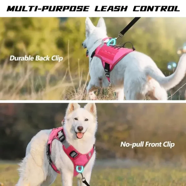 Large dog wearing a black tactical harness in an outdoor park setting