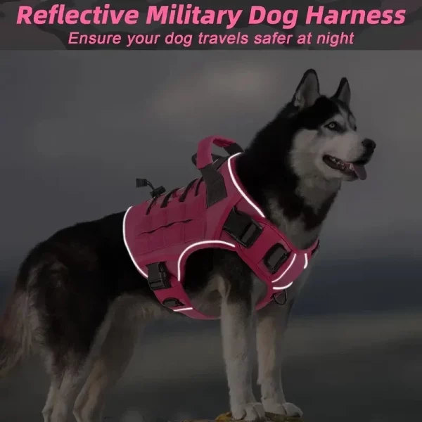 Detail of the tactical dog harness control handle and leash D-ring attachment
