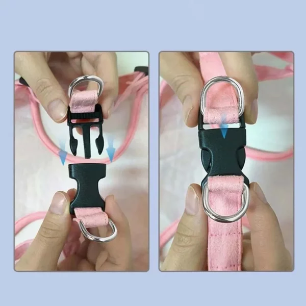 Dog wearing purple outdoor walking harness vest, walking outdoors