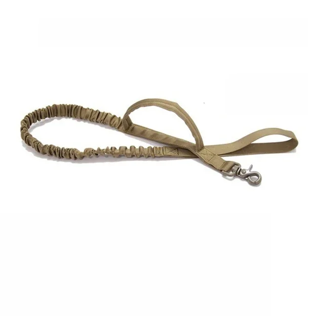 Khaki Leash