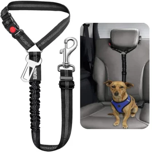 Close-up of dog car seat belt harness buckle and adjustable strap