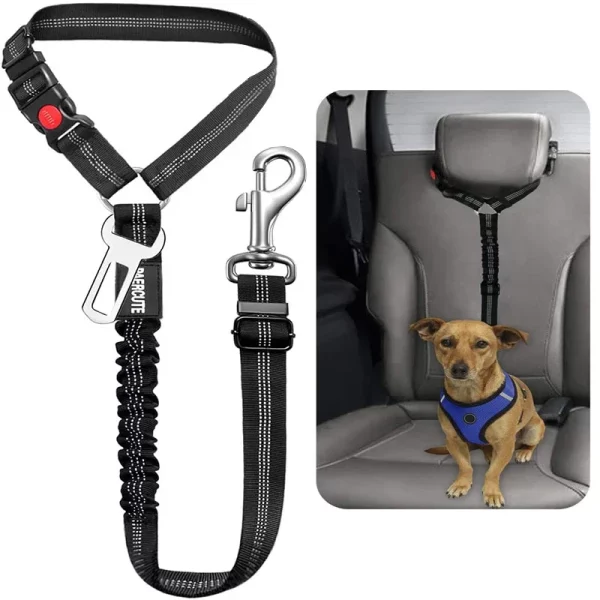 Two dogs secured in a car using the double-headed pet car safety belt