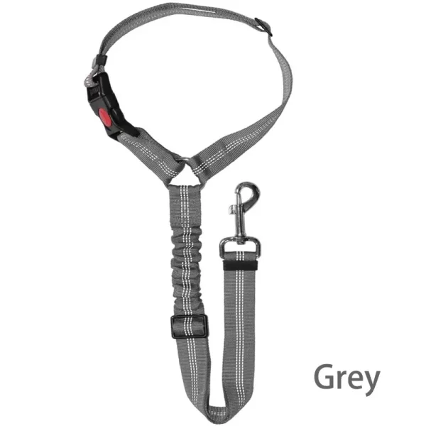 Dog harness and car seat belt leash laid out, showing components