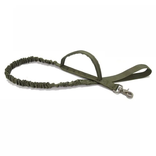 Green leash