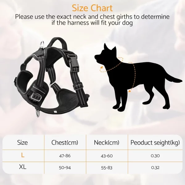 Close-up of the adjustable buckle and strap on a black dog harness