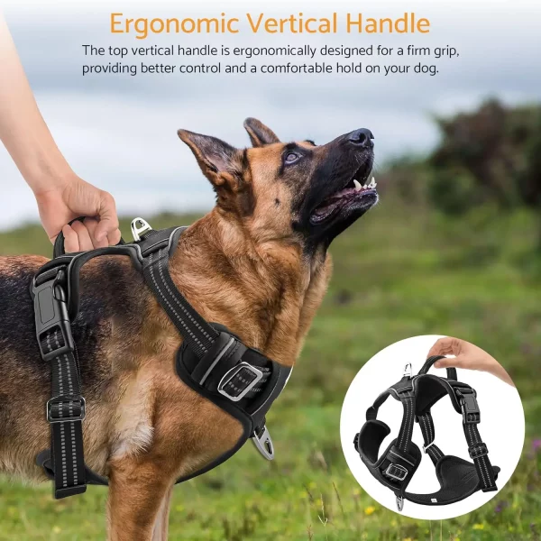 Black adjustable dog harness laid flat, showing front and back clips