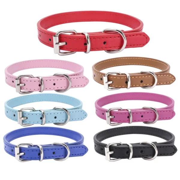 Adjustable dog collar, side view showing alloy buckle, on a medium dog
