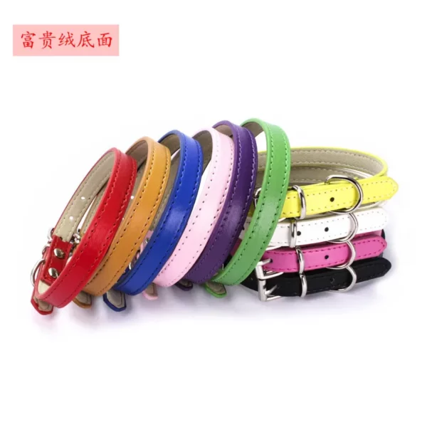 Adjustable dog collar, lifestyle shot of a dog wearing the collar in a park