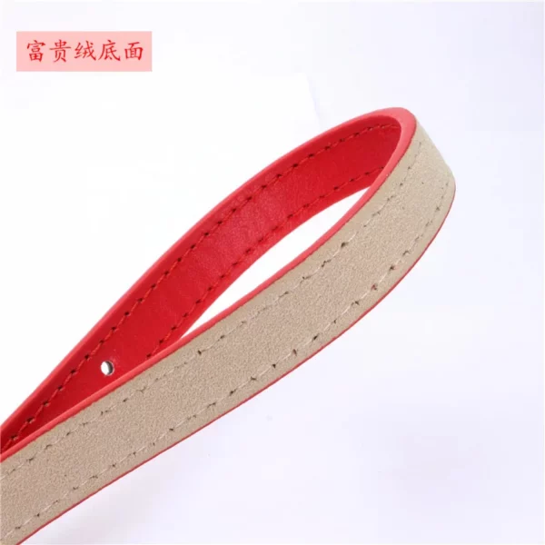Adjustable dog collar, showing the fastening mechanism of the alloy buckle