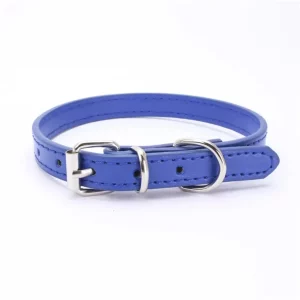 Dog Collars