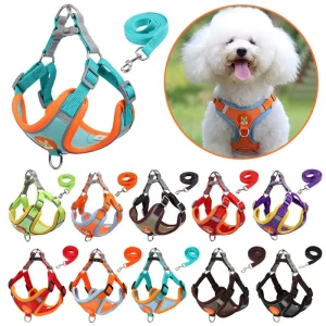 Dog harness front view with reflective strip