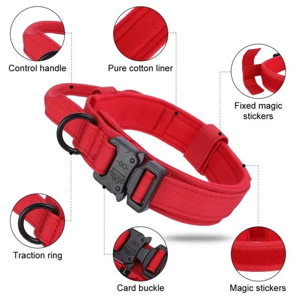 Detail of the D-ring attachment on the tactical dog collar