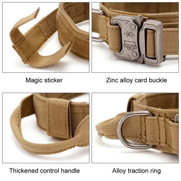 Dog wearing a tactical dog collar during an outdoor activity