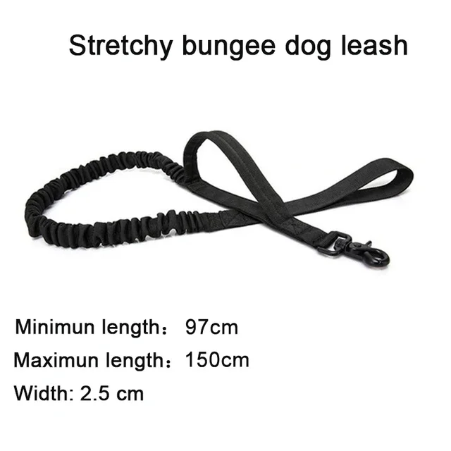 Black Leash