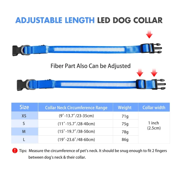 Dog wearing a bright LED collar for enhanced safety in darkness