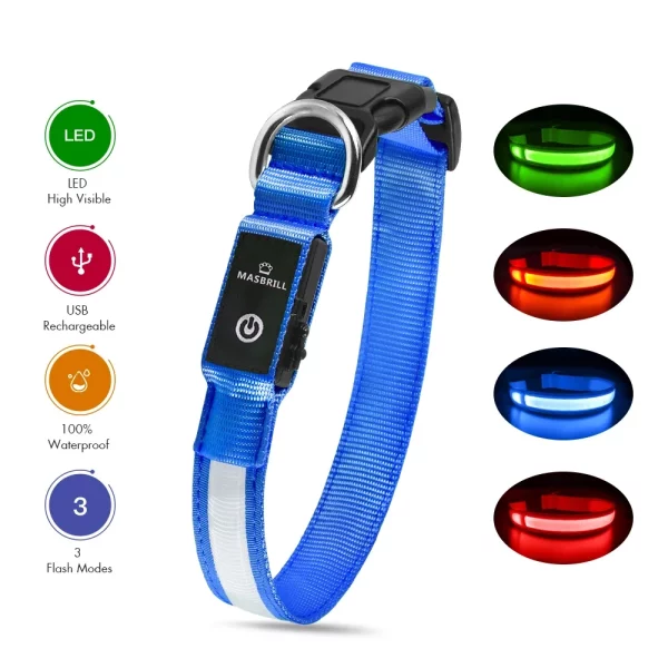Adjustable LED dog collar with secure buckle on a dog