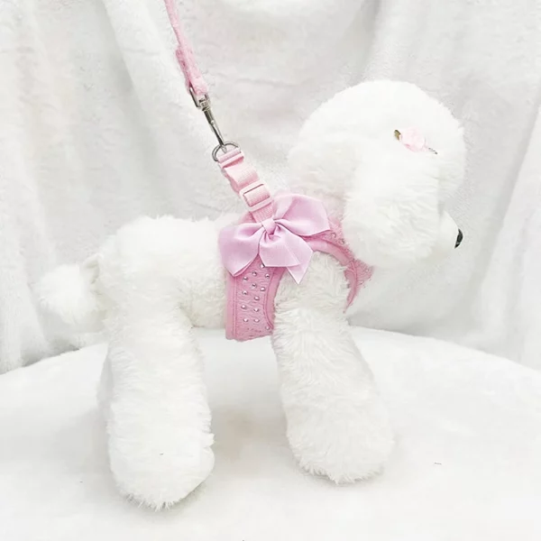 Complete pet walking set including harness, leash, and bow detail