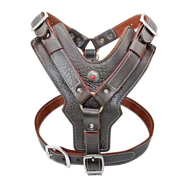 Brown leather dog harness with D-ring attachment point
