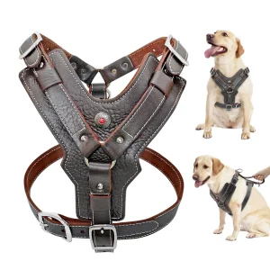 Brown genuine leather dog harness on a white background
