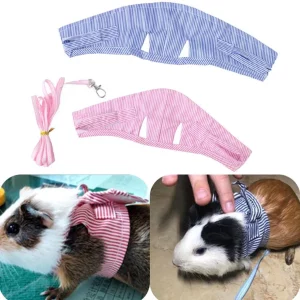 Small Animal Supplies