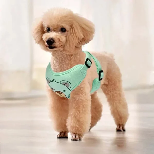 Close-up of the dog harness vest's stitching and buckle detail