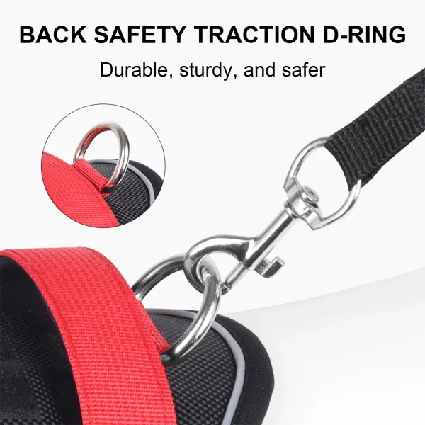 Dog harness detail showing stitching and material texture
