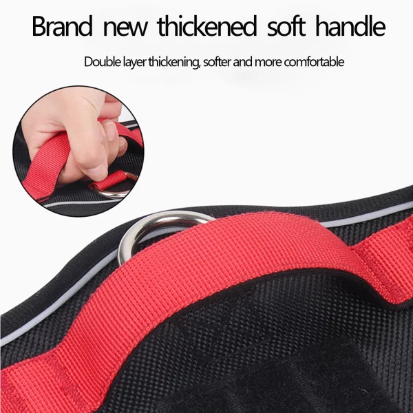 Close-up of harness buckle and strap adjustment