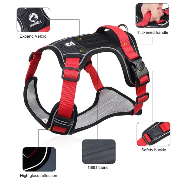 Dog wearing tactical vest harness, side profile