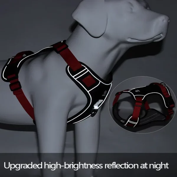 Dog harness showing reflective panel in low light