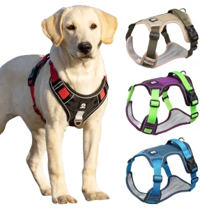 Dog harness front view with reflective strip
