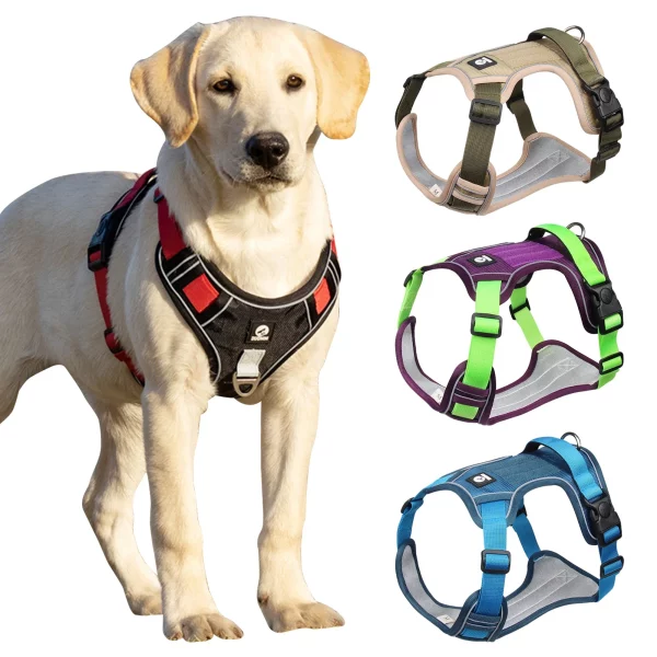 Dog harness front view with reflective strip