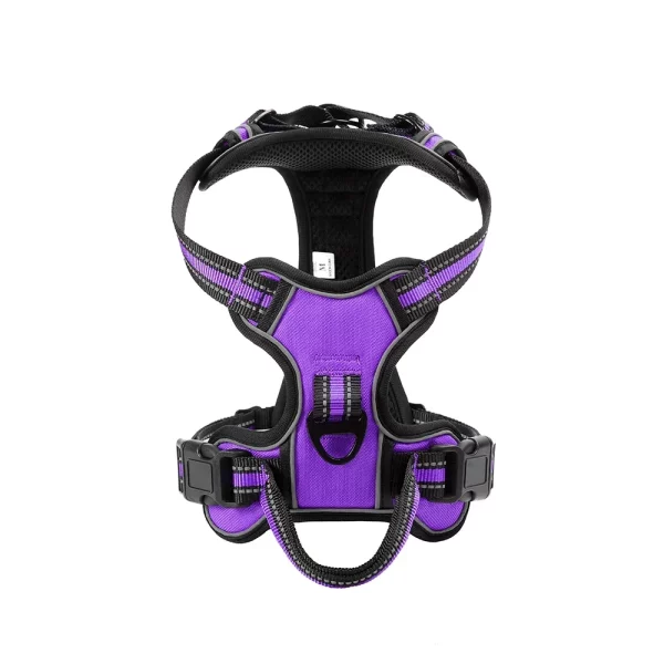 Dog comfortably wearing a reflective, no-pull dog harness during an outdoor walk
