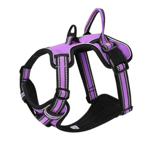 Dog wearing a reflective, breathable no-pull dog harness, front view