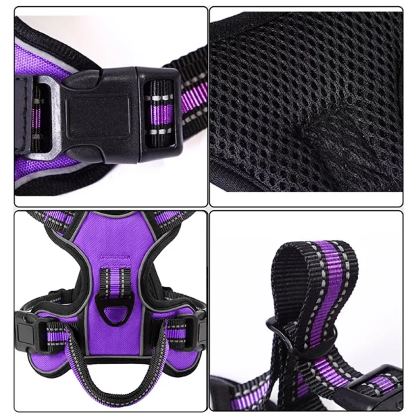 Back view of a no-pull dog harness, highlighting the dual leash attachment points